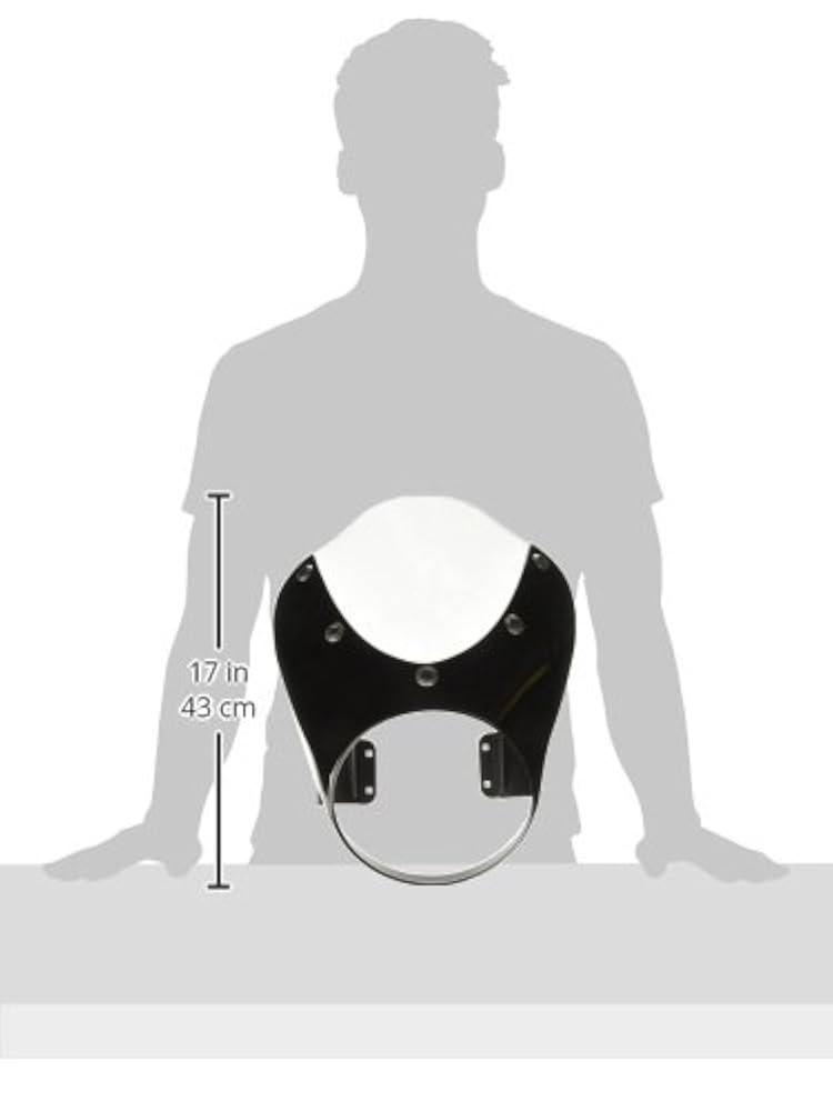 Amazon.co.jp: Yamaha ボルトRスペック対応 ミニフェアリング